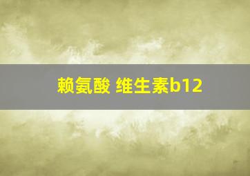 赖氨酸 维生素b12